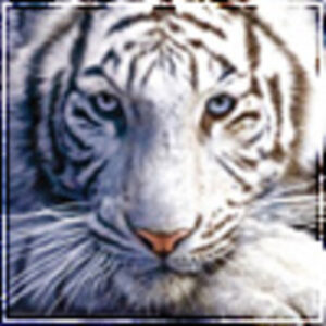 Profile photo of TreAsterischi